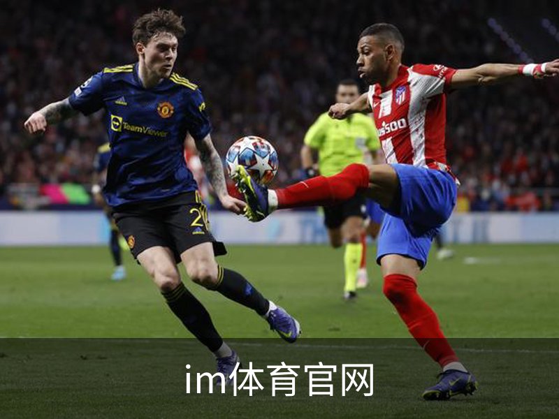 im体育官网介绍